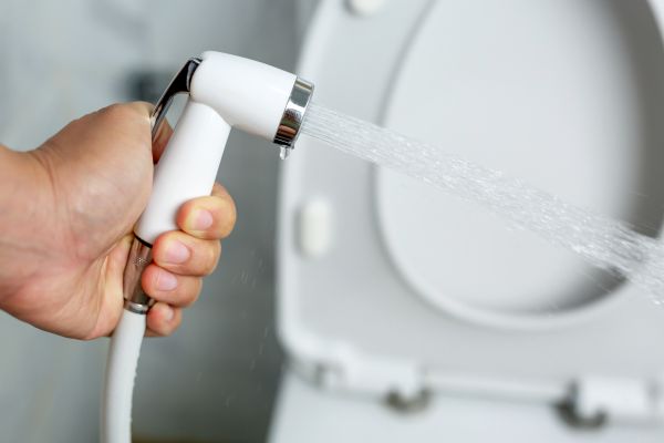 Cost of Bidet Installation in Nampa