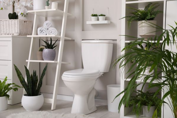 Cost of Toilet Repair in Nampa