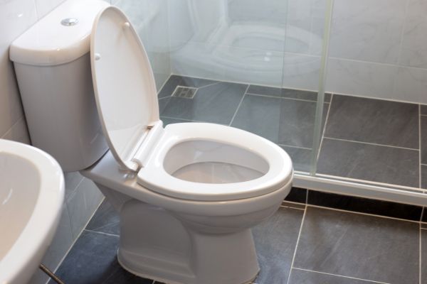 Cost of Toilet Replacement in Nampa