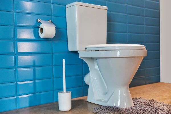 Cost of Toilet Tank Repair in Nampa