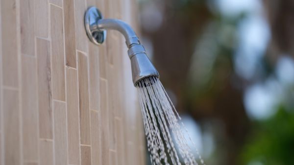 Cost of Showerhead Repair in Nampa